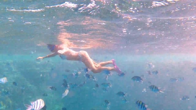 MARSA ALAM ROYAL BRAYKA resort / Una Vacanza indimenticabile!!! #redsea #vacation смотреть онлайн