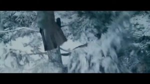 Финальная битва против Викторией... Сумерки...