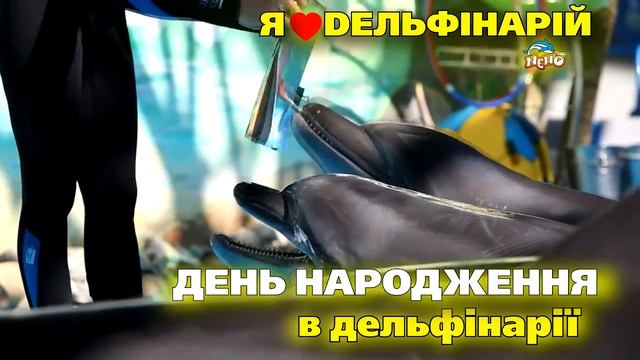 День рождения в Киевском  дельфинарии Немо