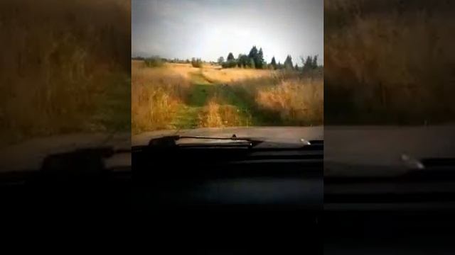 домой из леса) смотреть онлайн