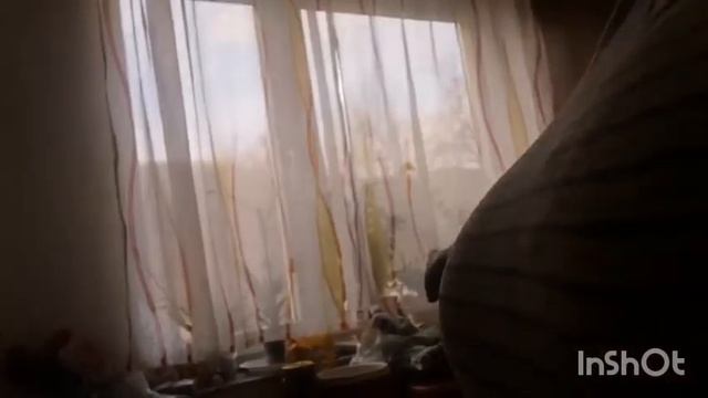 Влог:Обзор закупок/Раскладываю в морозилку/Любимая еда))) смотреть онлайн