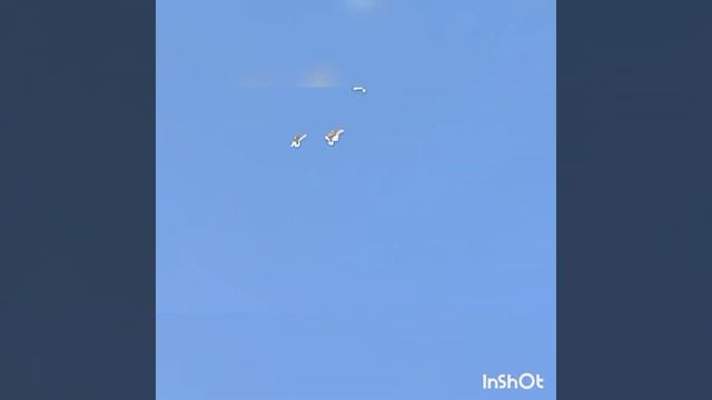 "Лишь мир важнее всех основ - всё, без него, не важно... " смотреть онлайн