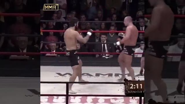 Арловский против Емельяненко смотреть онлайн