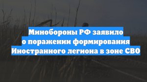 Минобороны РФ заявило о поражении формирования Иностранного легиона в зоне СВО