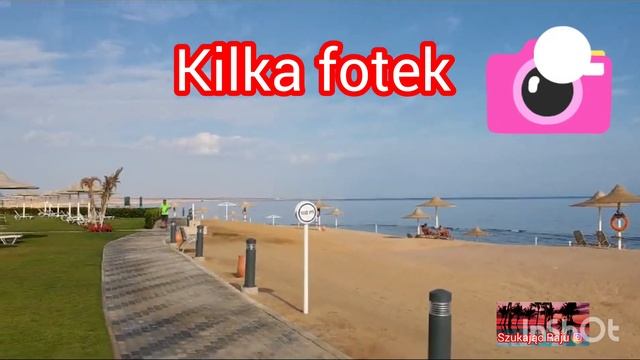 Hotel JAZ MARAYA Plaża beach Marsa Alam Wakacje w Egipcie 2023 смотреть онлайн