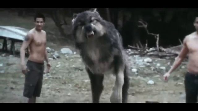 Jake and Bella, unforgettable moments( new moon) смотреть онлайн