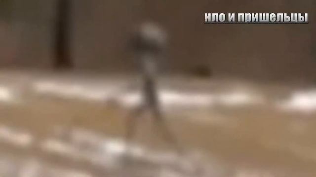 Тайная съёмка НЛО 2018 Пришелец поднимается на свой корабль смотреть онлайн