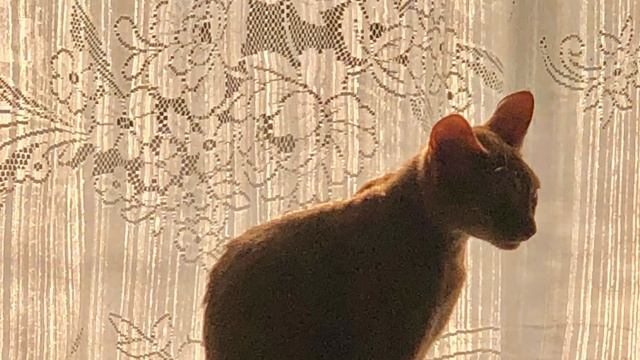 24 мая 2024 г. смотреть онлайн