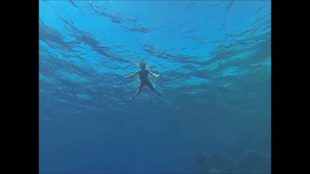 Egypt, Marsa Alam 2014 смотреть онлайн