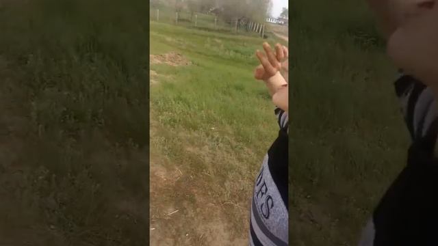 сосновка. зажигает смотреть онлайн