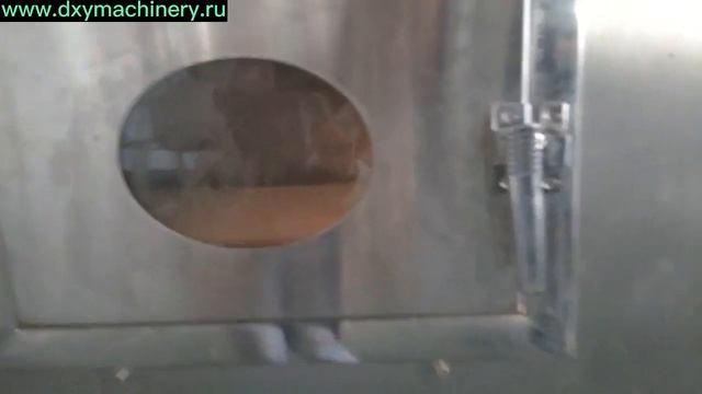 Быстрая сушка лепешек на микроволновой установке#сушка #тесто #оборудование #сушилка #свч #мука смотреть онлайн