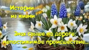 Интересные истории - Знак свыше на дороге, непостижимое происшествие - Мистические истории