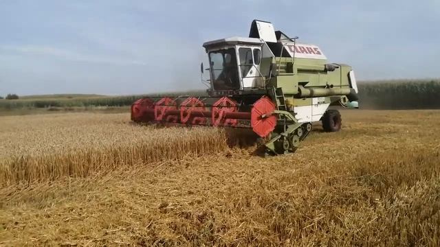 Claas dominator 106 жнива 2020 смотреть онлайн