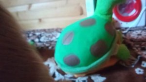 стираем дома 36 серия | 2 сезон | Тётя Мотя ТВ