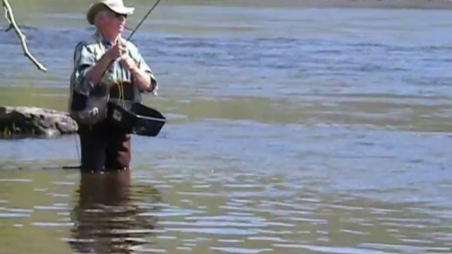 Delaware River Shad on 5 weight 5 11 14 смотреть онлайн