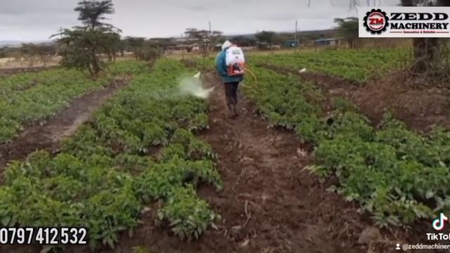 MOTORIZED KNAPSACK SPRAYER - KENYA
