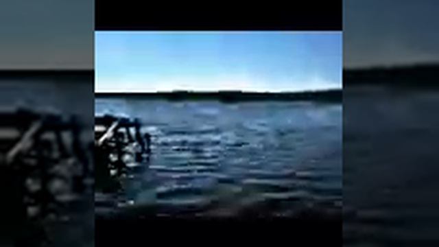 Заплыв МТЗ смотреть онлайн