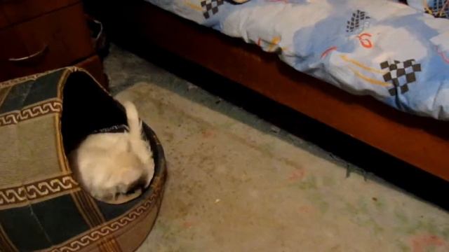 Мой фильм "Ужин и игры Яночки". 13/03/11г. 22:08 wmv смотреть онлайн