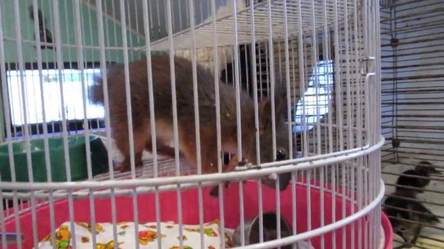 Детский сад смотреть онлайн