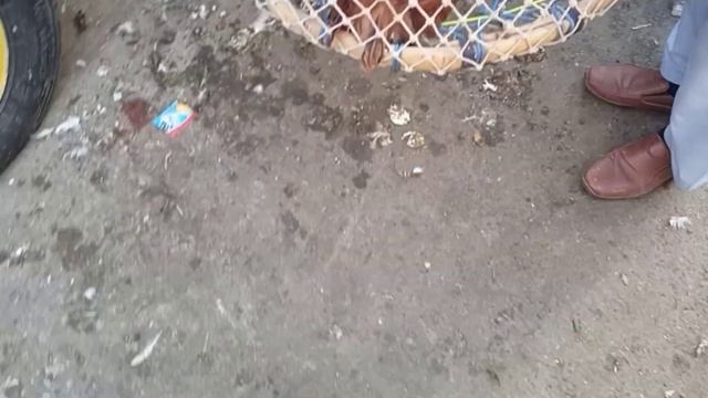 market rate Lahore Lari Adda Sunday Market смотреть онлайн