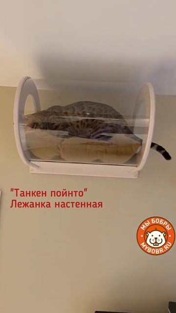 Лучшие в мире домики,лесенки,гамаки и лежанки от Мы Бобры