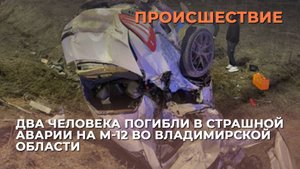 Два человека погибли в страшной аварии на М-12 во Владимирской области