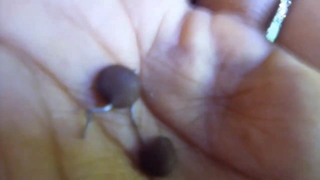 Cara Memperbaiki TV Akira CT-21SK9CP Hidup Bentar Lalu Gambar Hilang Tinggal Suara смотреть онлайн