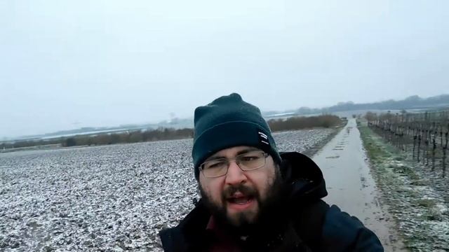 Was sind Umweltprobleme? смотреть онлайн