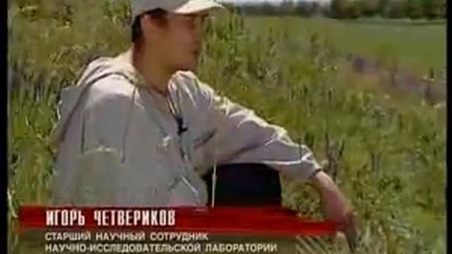 Курганы древних киммерийцев. kladoiskatel.net