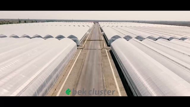 WELLFORT смотреть онлайн