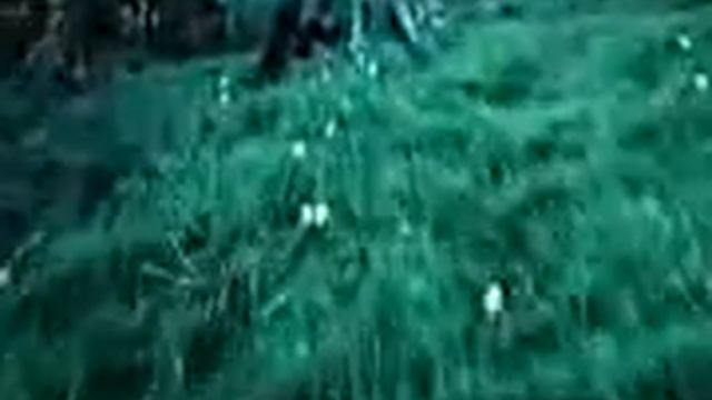 Sumerki Lubi meny смотреть онлайн