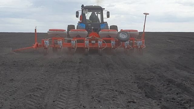 Сев подсолнечника сеялкой точного высева Kverneland Optima. АгроТрансПорт