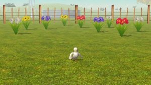 EI Pollito Pio 3D - Cancoines de la Granja de Zenon - Pilo Filo Granja De Lola Vaca de toro de Zeno