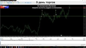 альпари форекс. скальпинг. день 5 торговля онлайн