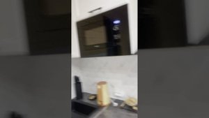 Шишаиха 237 островок