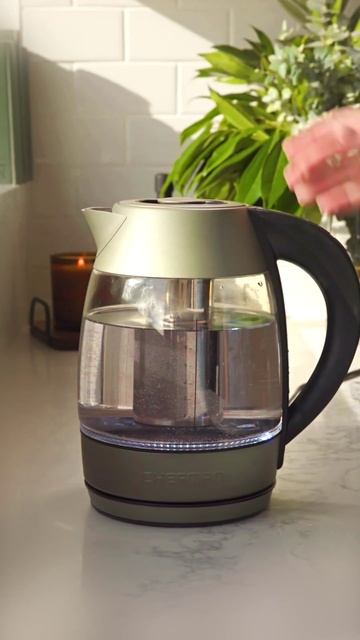 Detox Tea with Chefman Shorts