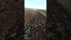 Бороная дисковая ЛД-8 ПК EURO Производства ГК SOLAR FIELDS