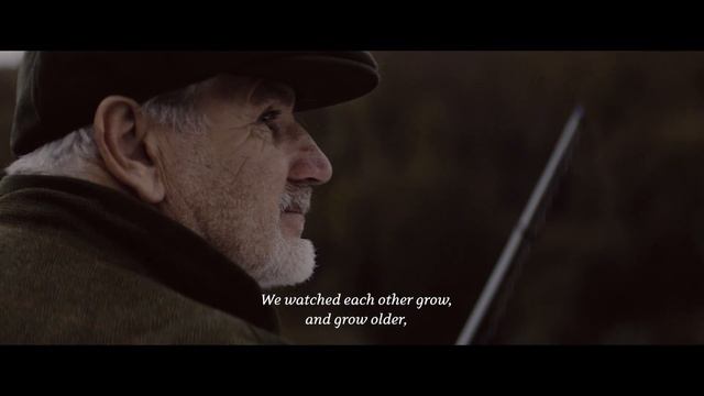 OLDER: The ESSENTIAL Tribute To Older Dogs смотреть онлайн