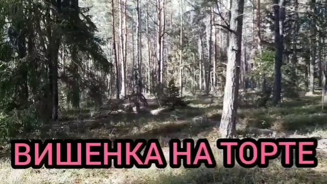 ГРИБКОВЫЙ ШЕДЕВР. ЮЛЯ СТАР. ОБЗОР. смотреть онлайн