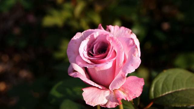 Слушать самую красивую русскую песню с тв - класс! смотреть онлайн