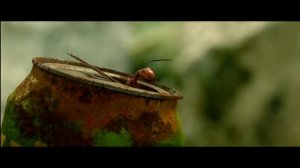 Minuscule Valley of the Lost Ants (2013) HD