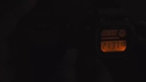 Casio DW290 vs DW291 Comparison