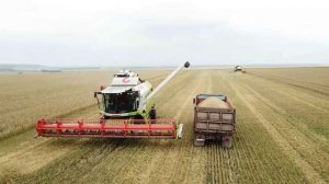 Уборка зерновых культур - 2019. АгроТрансПорт