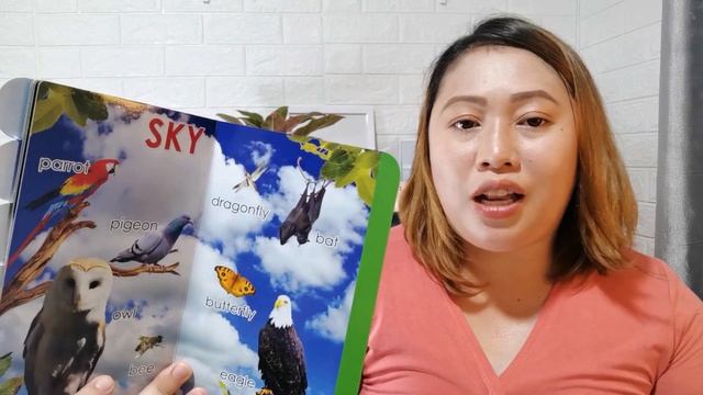 SMART BABIES EARLY LEARNING BOARD BOOKS Review  Unboxing  Best Board Books for Babies  Toddlers