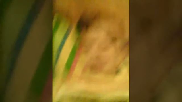 Дождливая погода (2) смотреть онлайн