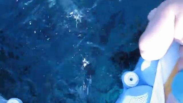 роджана шарм эль шейх/Dessole Royal Rojana Resort 5*Кормёжка рыб. смотреть онлайн