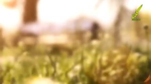 Нашид форси Шамсиддини Суруди- Чавон грустный нашид до слёз 😭😖 души разрывающий ..... #нашид  #душа