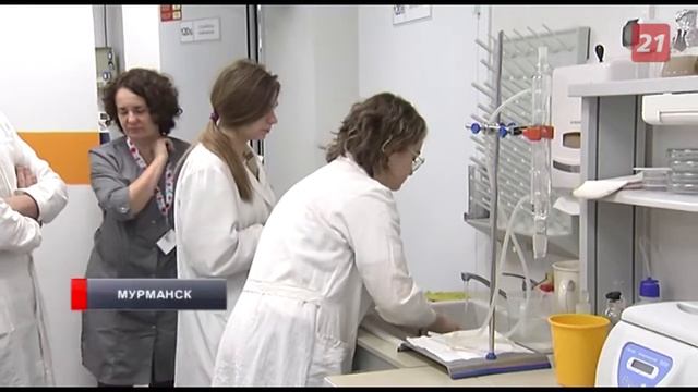 В Мурманске стартовал масштабный фестиваль смотреть онлайн