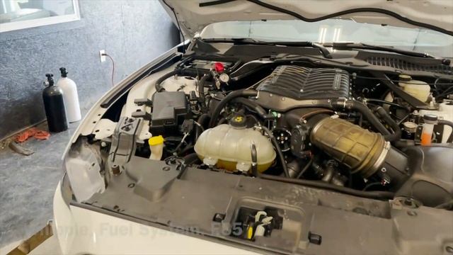 Coyote Mustangs and F150s, GT500s, Nitrous LS Foxs, and more! смотреть онлайн