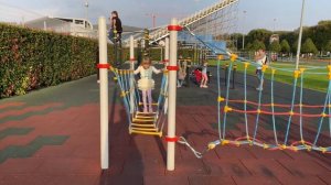 Хомяк проходит препятствия